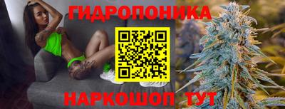бошки Гай