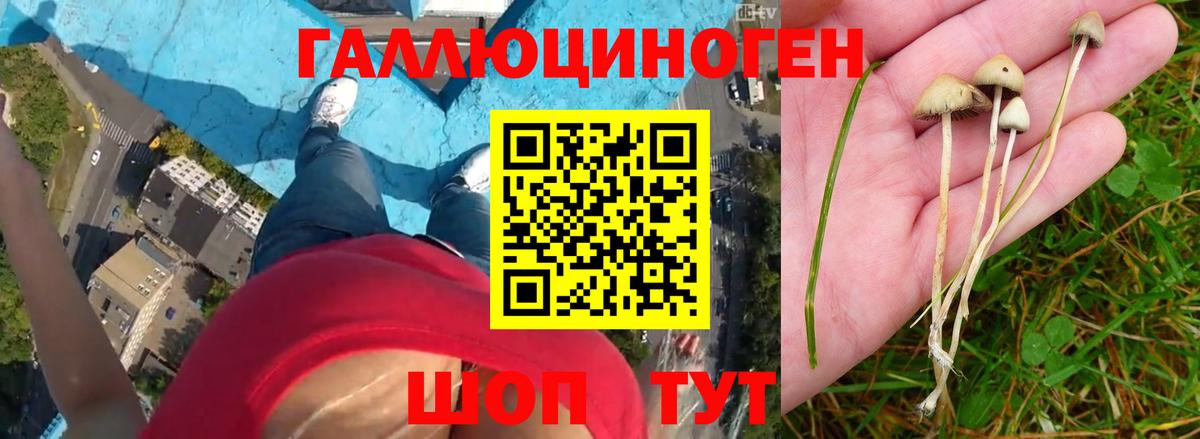 наркотики  Вход с VPN  Дзержинск  Галлюциногенные грибы Magic Shrooms 